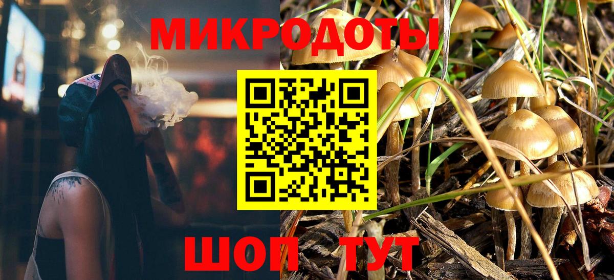 Галлюциногенные грибы Psilocybe Кингисепп